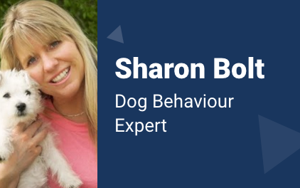 Sharon Bolt-Publisher-blog_header